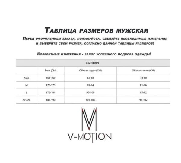 Термобельё V-MOTION Base мужской серебристый в Липецке