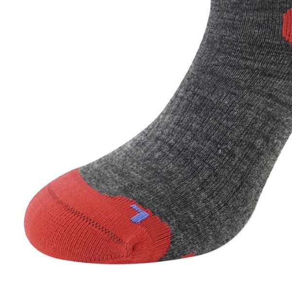 Купить Носки LENZ Skiing Kids Grey/Red/Blue в Липецке