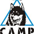 Кошки CAMP в Липецке