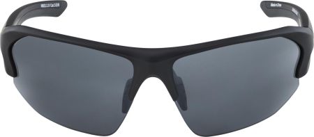Купить Очки Alpina Lyron Hr Black Matt/Black Mirror Cat.3 в Липецке
