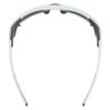 Купить Очки Alpina Skywalsh Q Smoke-Grey Matt/Green Mirror Cat.4 Fogstop в Липецке