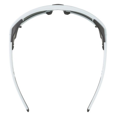 Купить Очки Alpina Skywalsh Q Smoke-Grey Matt/Green Mirror Cat.4 Fogstop в Липецке