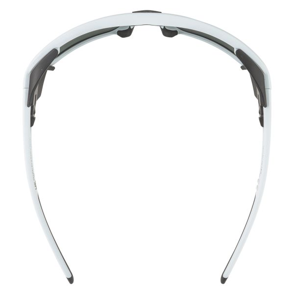 Купить очки alpina skywalsh q smoke-grey matt/green mirror cat.4 fogstop в Липецке