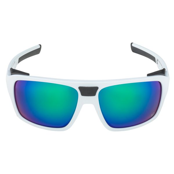 Купить очки alpina skywalsh q smoke-grey matt/green mirror cat.4 fogstop в Липецке