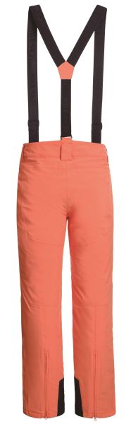 Брюки горнолыжные Icepeak 657038839IV 455 в Липецке