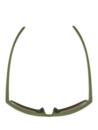 Купить Очки Alpina Nacan I Olive Matt/Bronce Mirror Cat.3 в Липецке